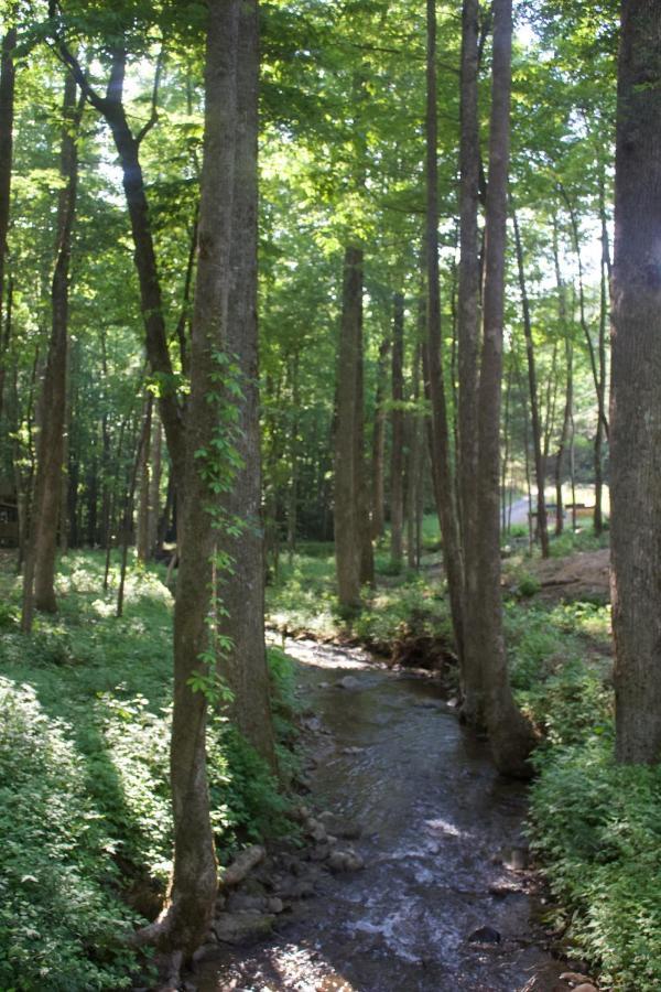 Villas At Gingershack Farms Ellijay Εξωτερικό φωτογραφία
