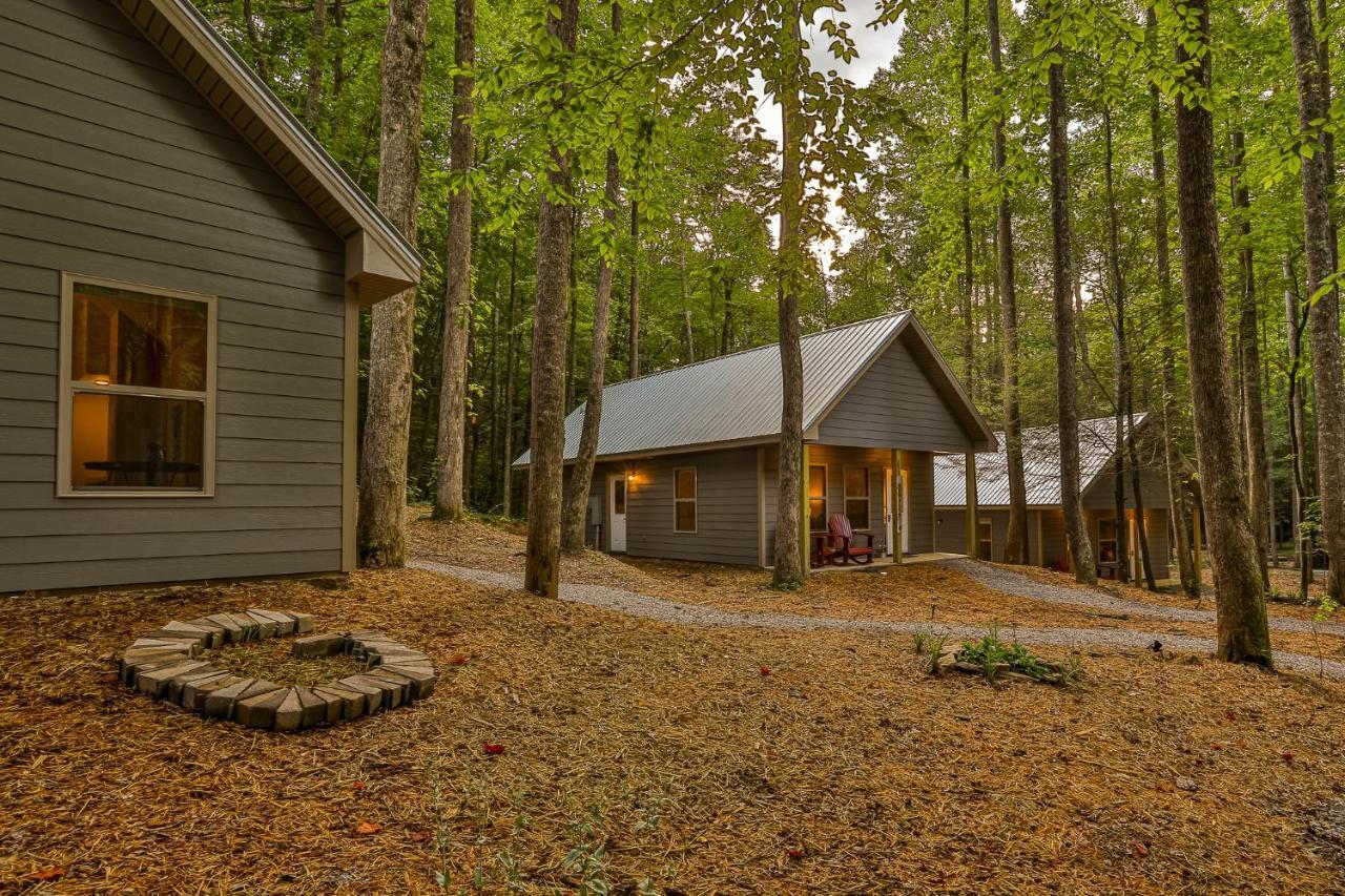 Villas At Gingershack Farms Ellijay Εξωτερικό φωτογραφία