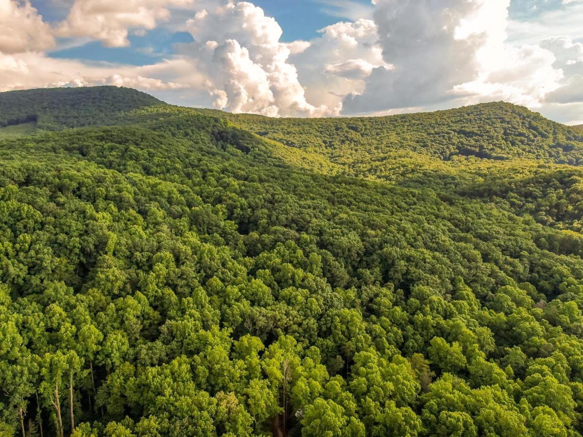 Villas At Gingershack Farms Ellijay Εξωτερικό φωτογραφία